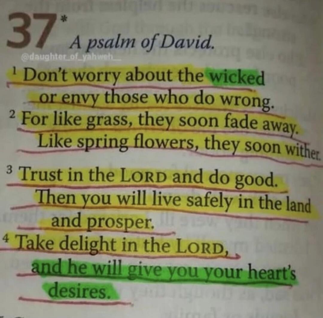 37 A psalm of David.

1 Don't worry about the wicked or envy those who do wrong.
2 For like grass, they soon fade away. Like spring flowers, they soon wither.
3 Trust in the LORD and do good. Then you will live safely in the land and prosper.
4 Take delight in the LORD, and he will give you your heart's desires.
