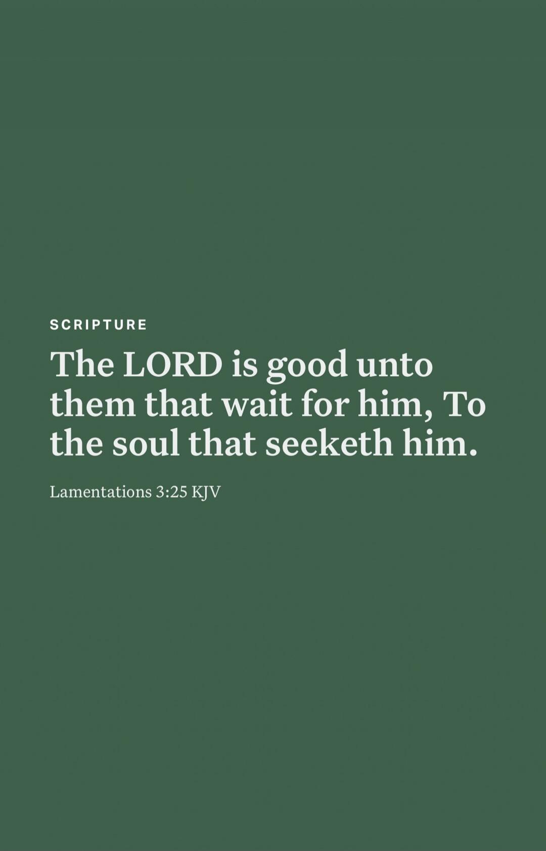 SCRIPTURE
The LORD is good unto them that wait for him, To the soul that seeketh him.
Lamentations 3:25 KJV