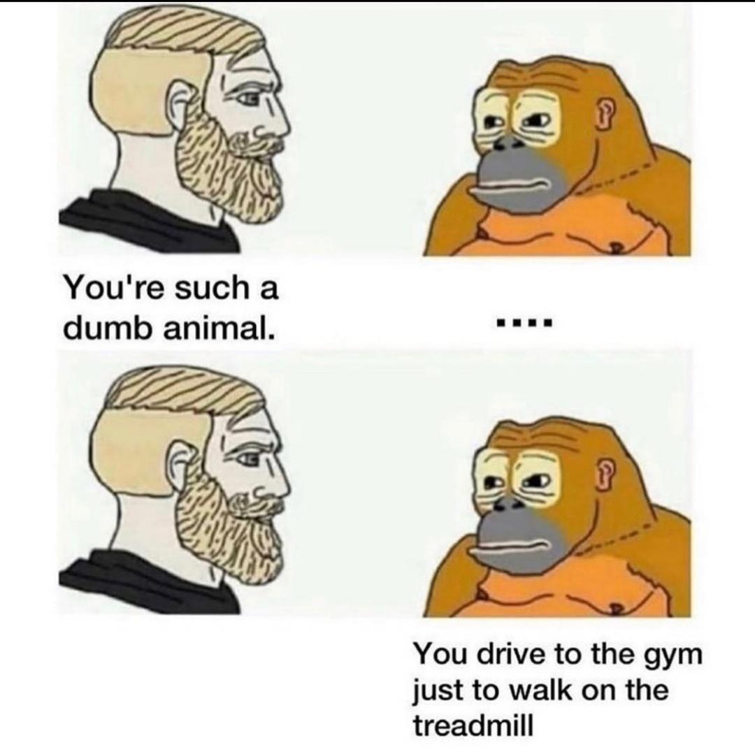 Youre such a dumb animal el You drive to the gym just to walk on the treadmill