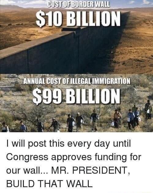 S10BILLION SS ANNUALE Enst onumummnnmnu 5599 nulmu will post this every day until Congress approves funding for our wall MR PRESIDENT BUILD THAT WALL