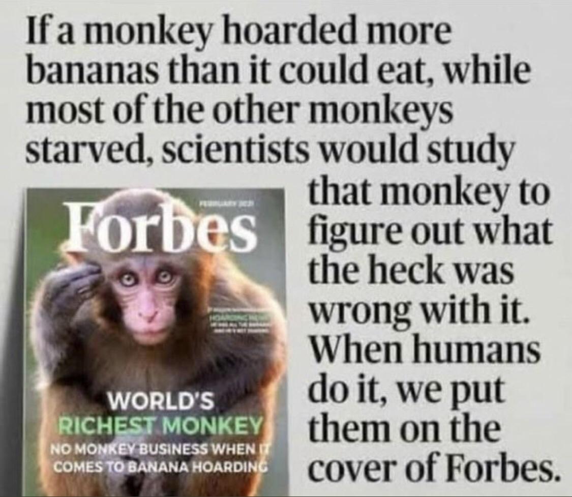 If a monkey hoarded more bananas than it could eat while most of the other monkeys starved scientists would study that monkey to figure out what the heck was wrong with it When humans do it we put them on the cover of Forbes