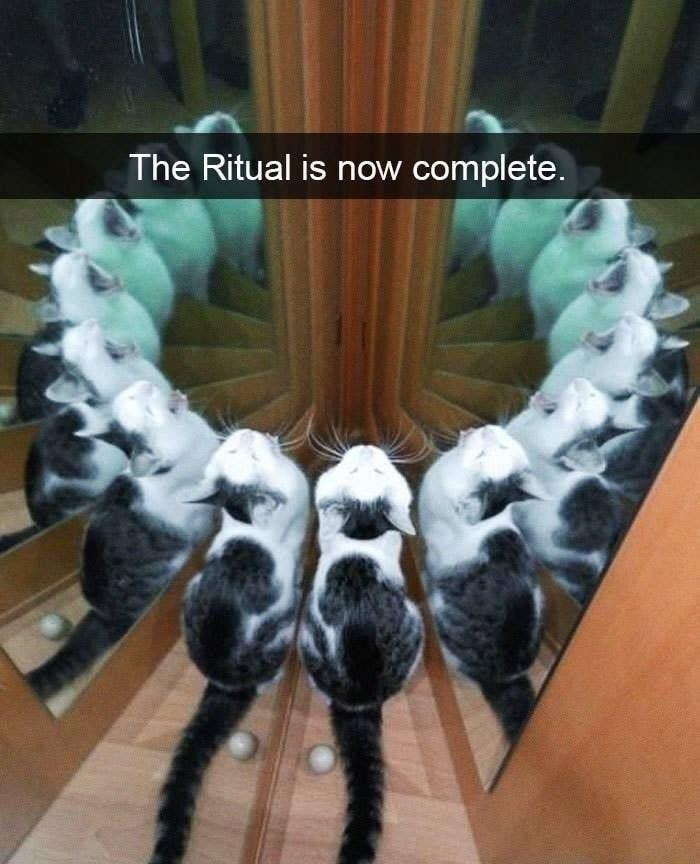 The Ritual is now complete