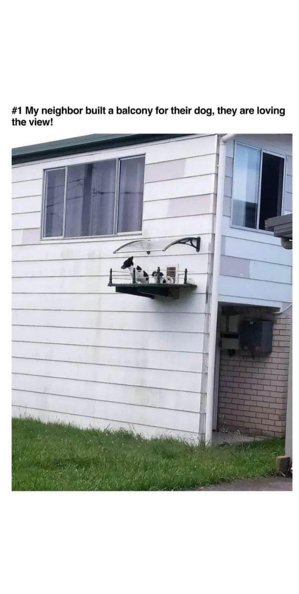 1 My neighbor built a balcony for their dog they are loving the view