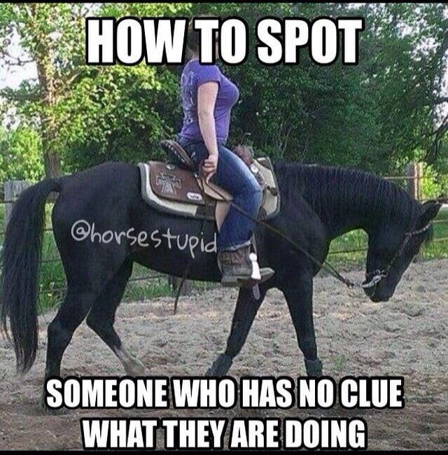 HOW TO SPOT SOMEONE WHO HAS NO CLUE WHAT THEY ARE DOING