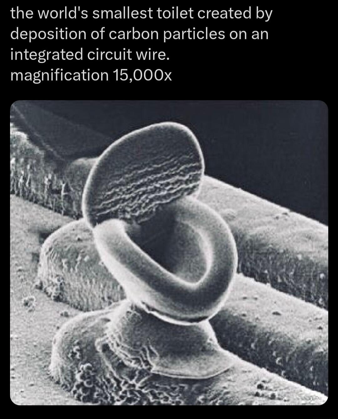 the worlds smallest toilet created by deposition of carbon particles on an integrated circuit wire maghnification 15000x