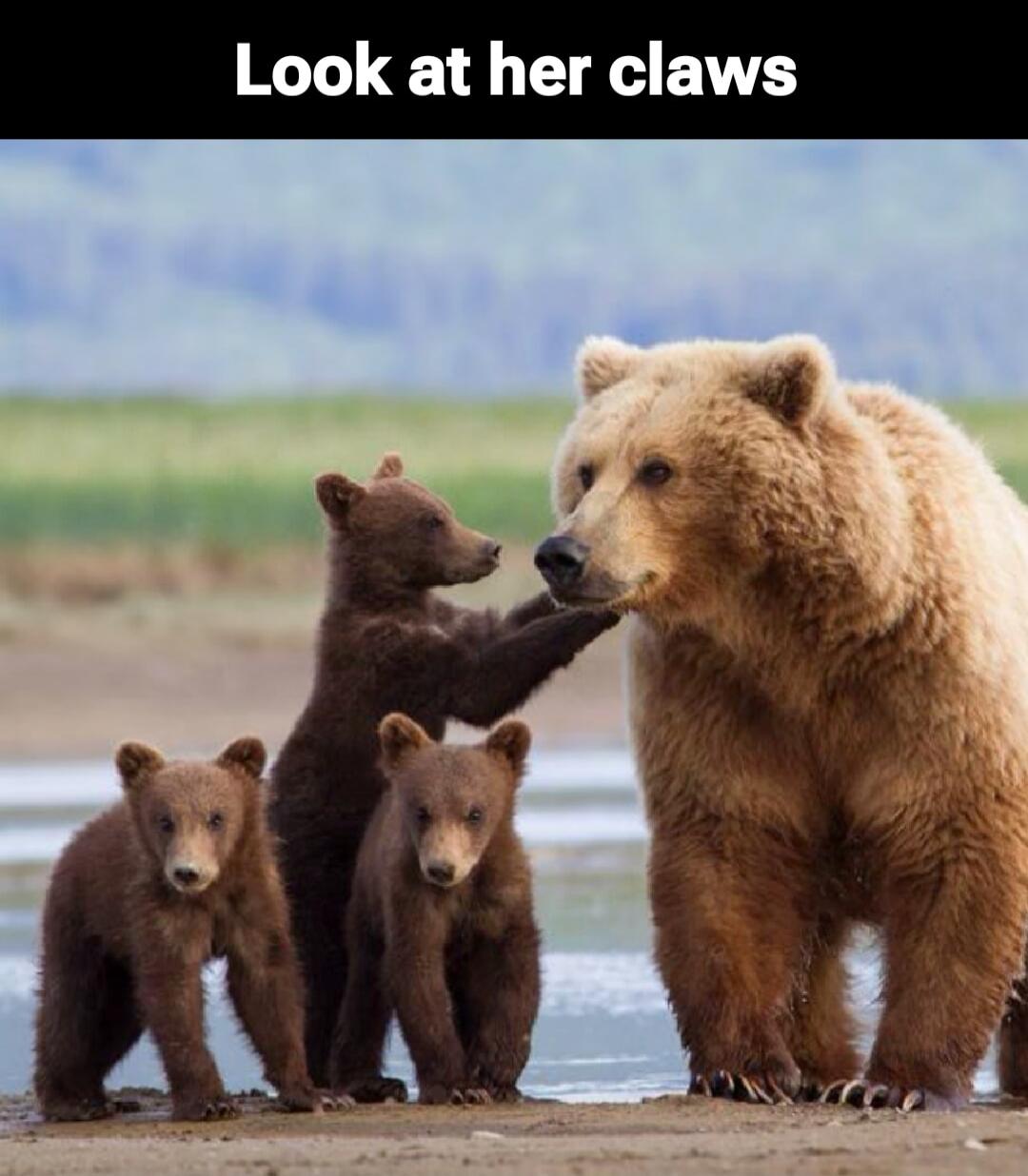 Look at her claws