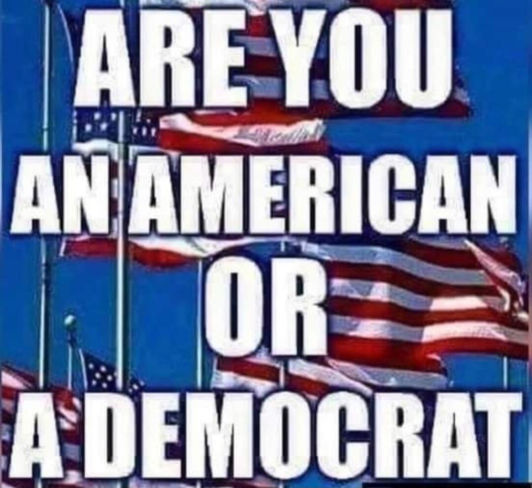 ARE YOU AN AMERICAN OR A DEMOCRAT