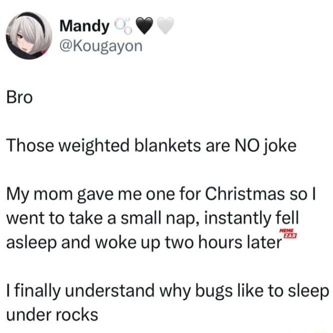 Mandy Kougayon Bro Those weighted blankets are NO joke My mom gave me one for Christmas so went to take a small nap instantly fell asleep and woke up two hours later I finally understand why bugs like to sleep under rocks