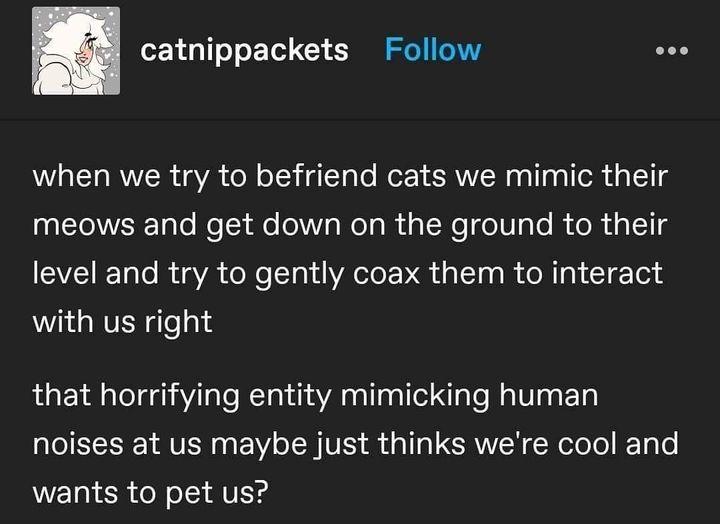 catnippackets Follow when we try to befriend cats we mimic their meows and get down on the ground to their VTR To R oV do Mo T g i WATo V da Lol g g ol g T Tea d with us right that horrifying entity mimicking human noises at us maybe just thinks were cool and wants to pet us