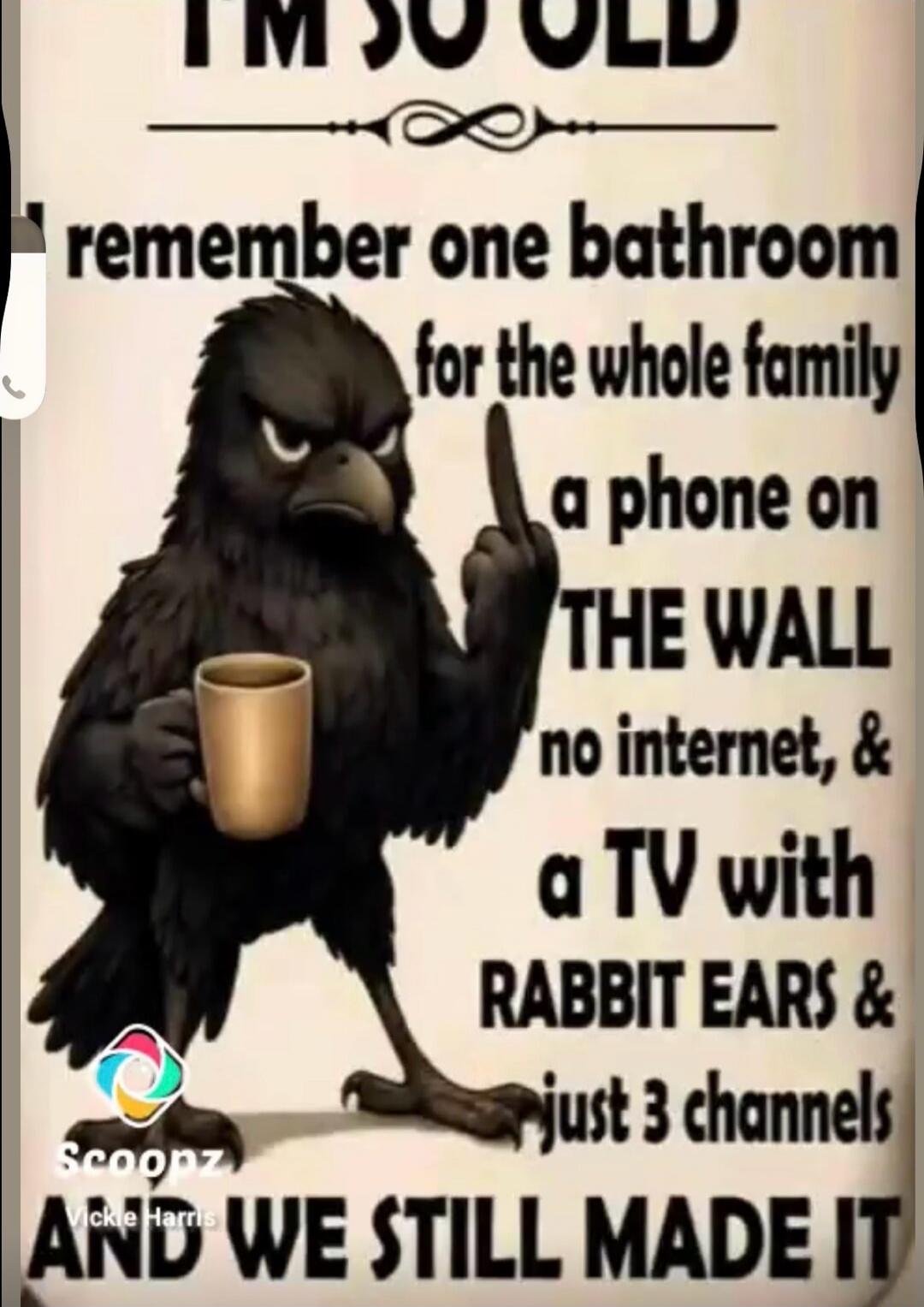 I'M SO OLD I remember one bathroom for the whole family, a phone on THE WALL, no internet, & a TV with RABBIT EARS & just 3 channels AND WE STILL MADE IT