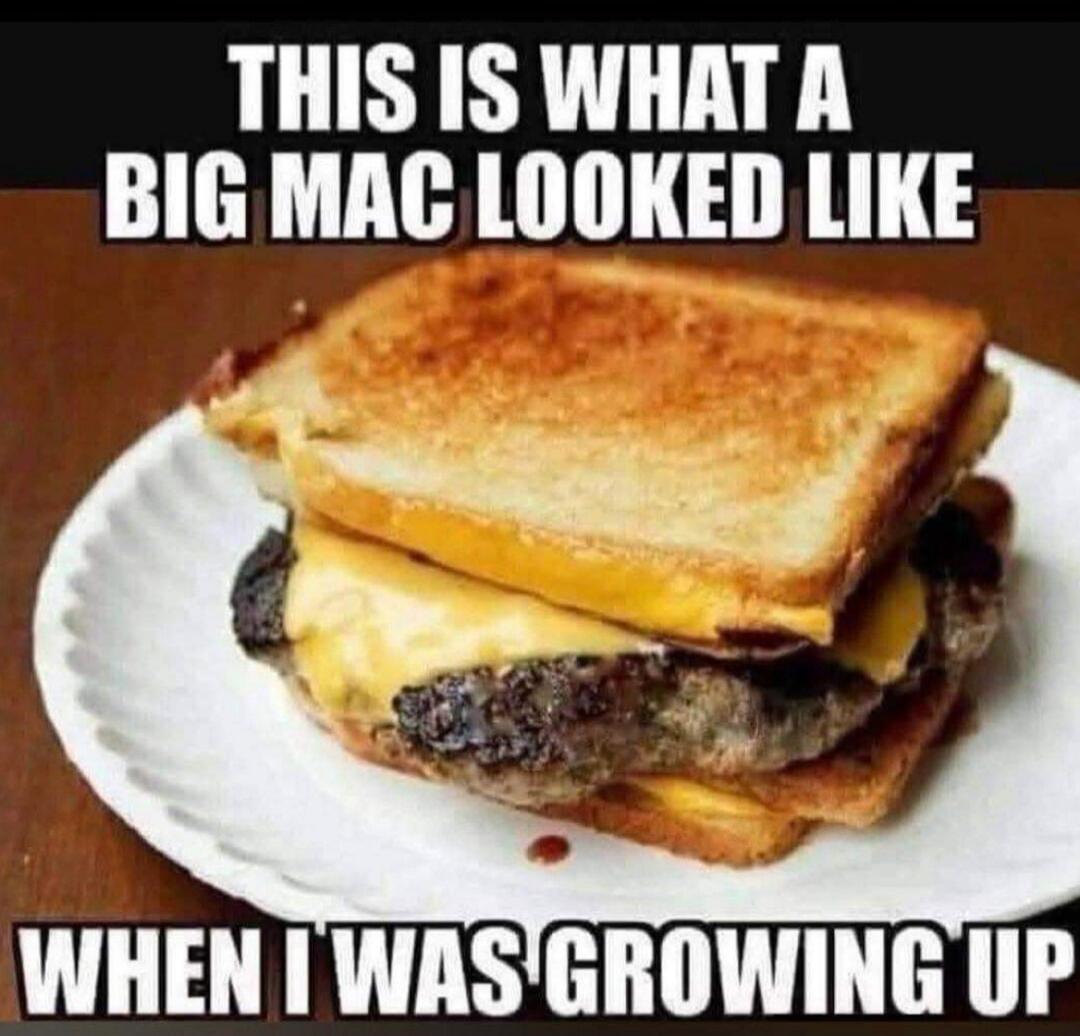 THIS IS WHAT A BIG MAC LOOKED LIKE WHEN I WAS GROWING UP