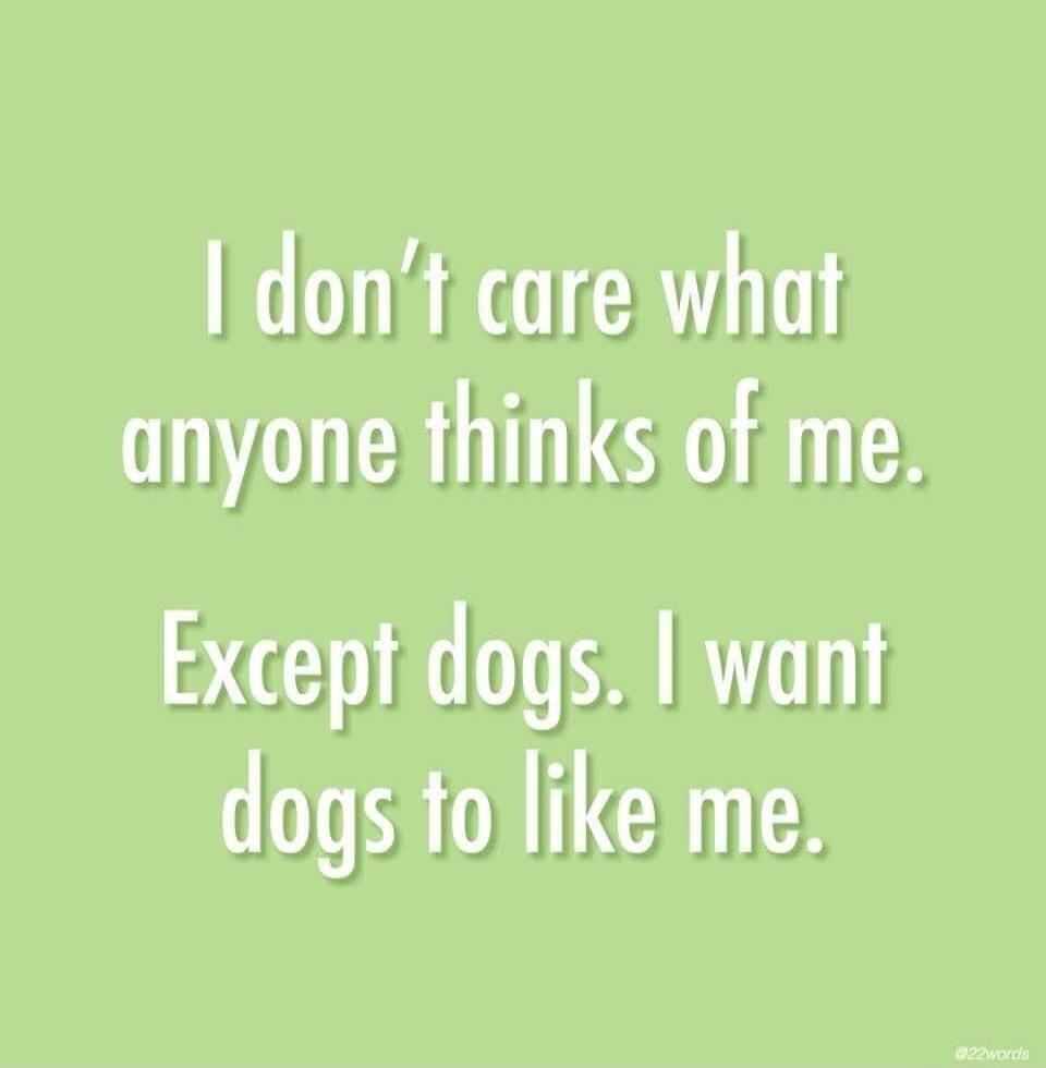 I don't care what anyone thinks of me. Except dogs. I want dogs to like me.