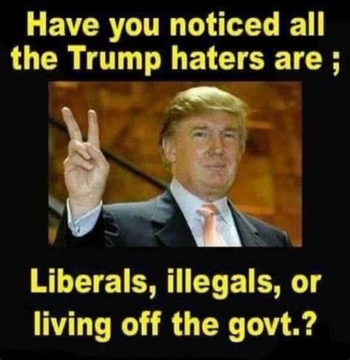 Have you noticed all the Trump haters are ; Liberals, illegals, or living off the govt.?