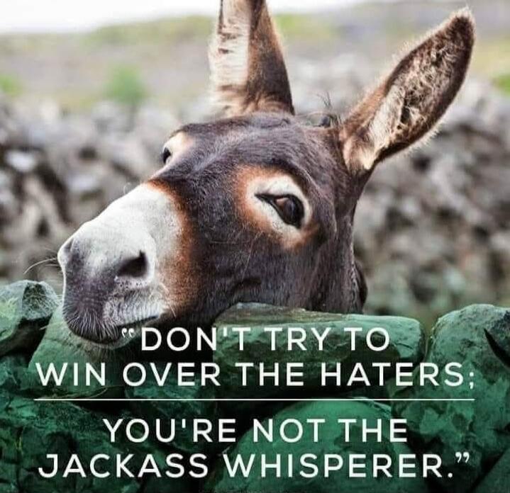 DON'T TRY TO WIN OVER THE HATERS; YOU'RE NOT THE JACKASS WHISPERER.