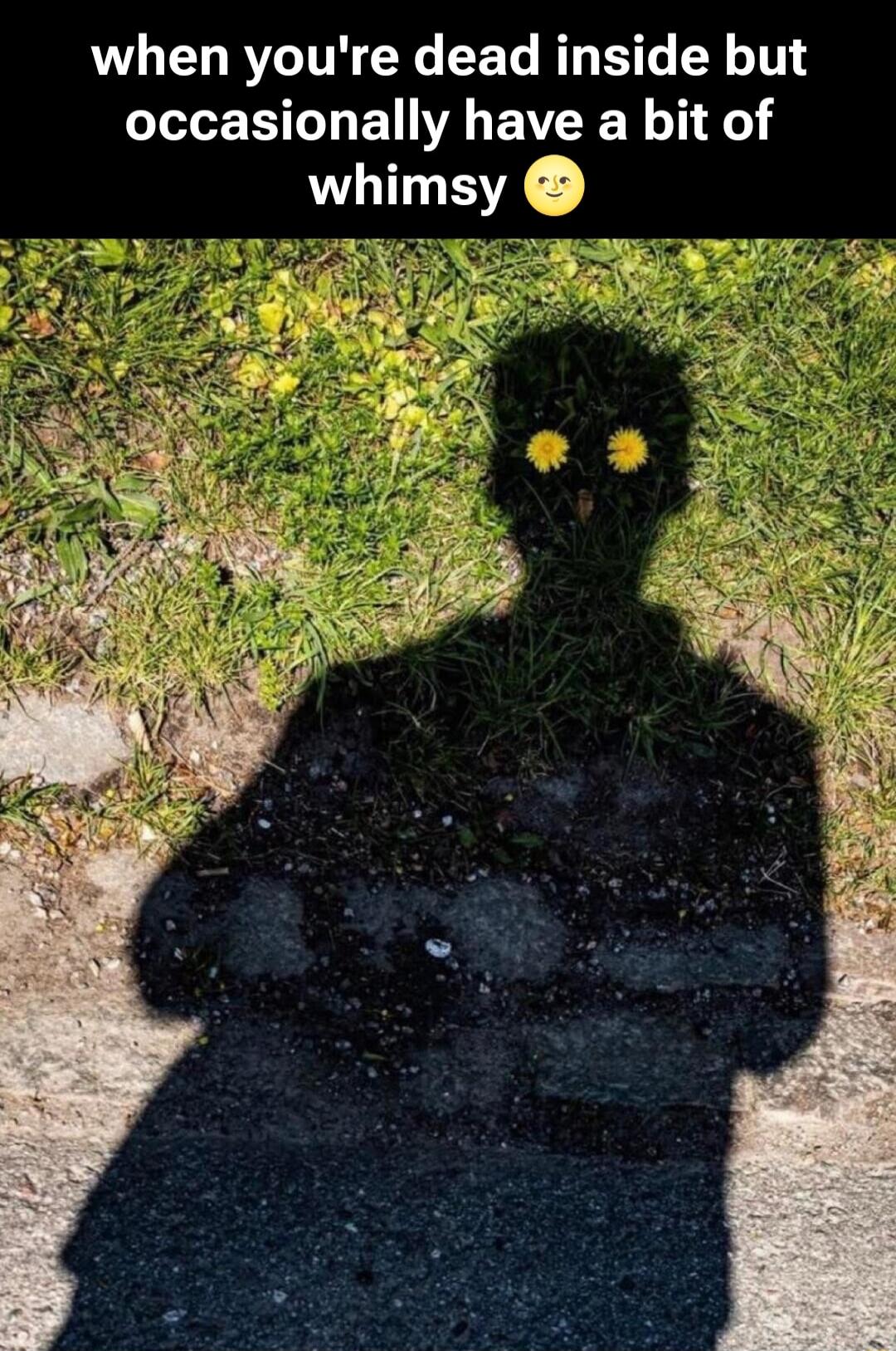 when you're dead inside but occasionally have a bit of whimsy 😉
