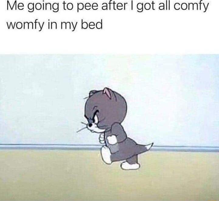 Me going to pee aftter got all comty womfy in my bed