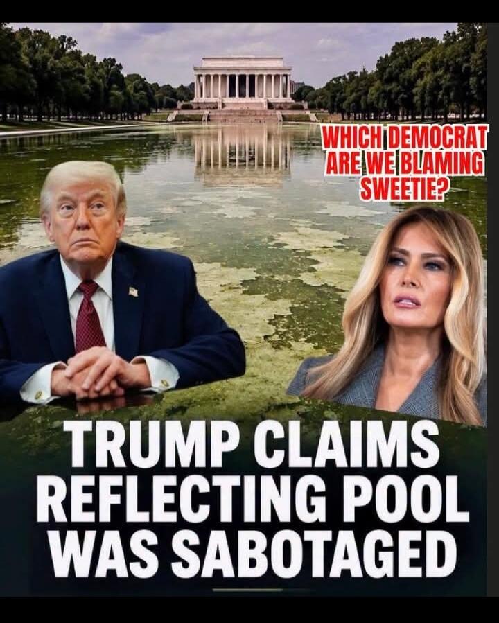 WHICH DEMOCRAT ARE WE BLAMING SWEETIE? TRUMP CLAIMS REFLECTING POOL WAS SABOTAGED