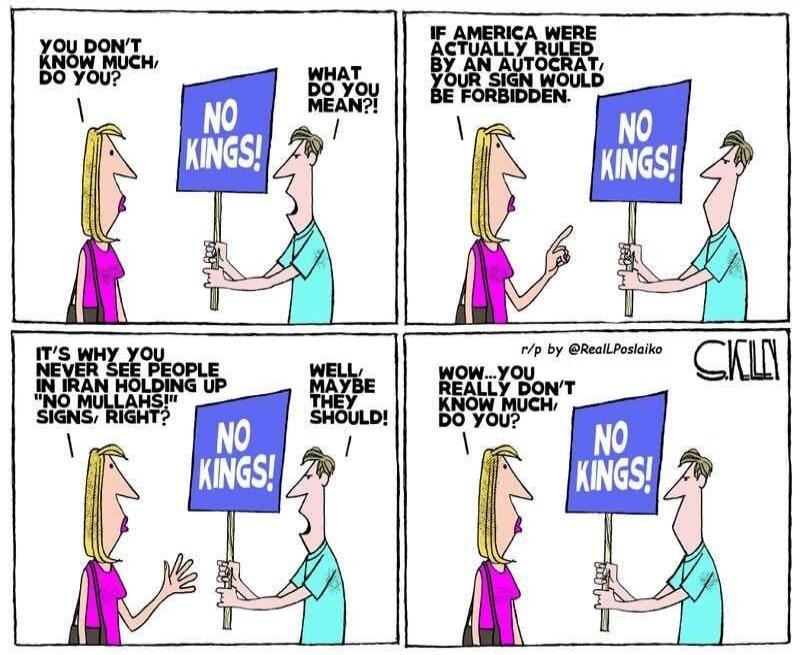 YOU DON'T KNOW MUCH, DO YOU? WHAT DO YOU MEAN?! NO KINGS! IF AMERICA WERE ACTUALLY RULED BY AN AUTOCRAT, YOUR SIGN WOULD BE FORBIDDEN. IT'S WHY YOU NEVER SEE PEOPLE IN IRAN HOLDING UP 