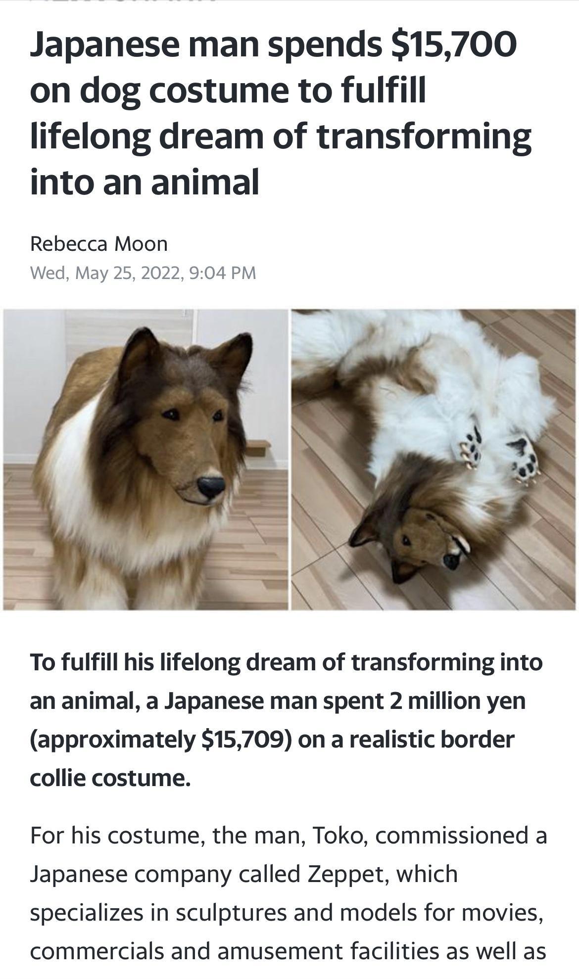 Japanese man spends 15700 on dog costume to fulfill lifelong dream of transforming into an animal Rebecca Moon Wed May 25 2022 904 PM To fulfill his lifelong dream of transforming into an animal a Japanese man spent 2 million yen approximately 15709 on a realistic border collie costume For his costume the man Toko commissioned a Japanese company called Zeppet which specializes in sculptures and mo