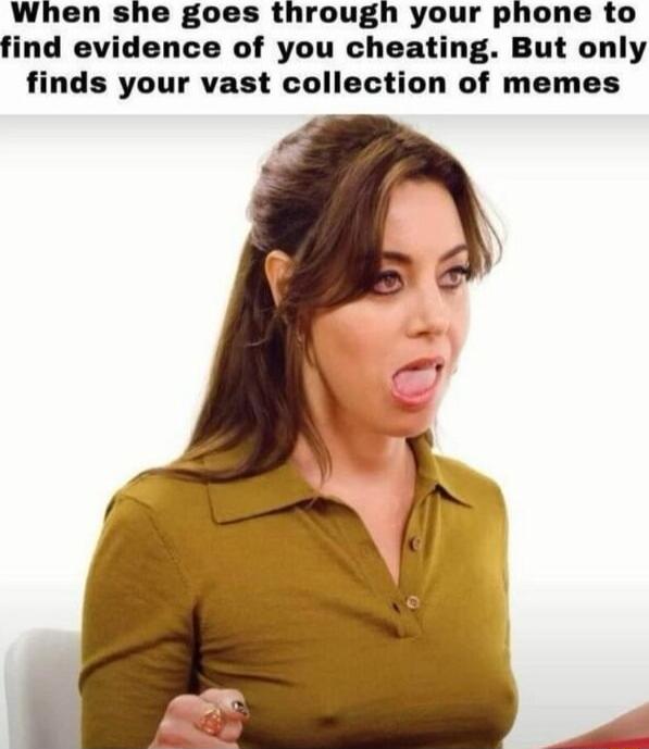 When she goes through your phone to find evidence of you cheating. But only finds your vast collection of memes