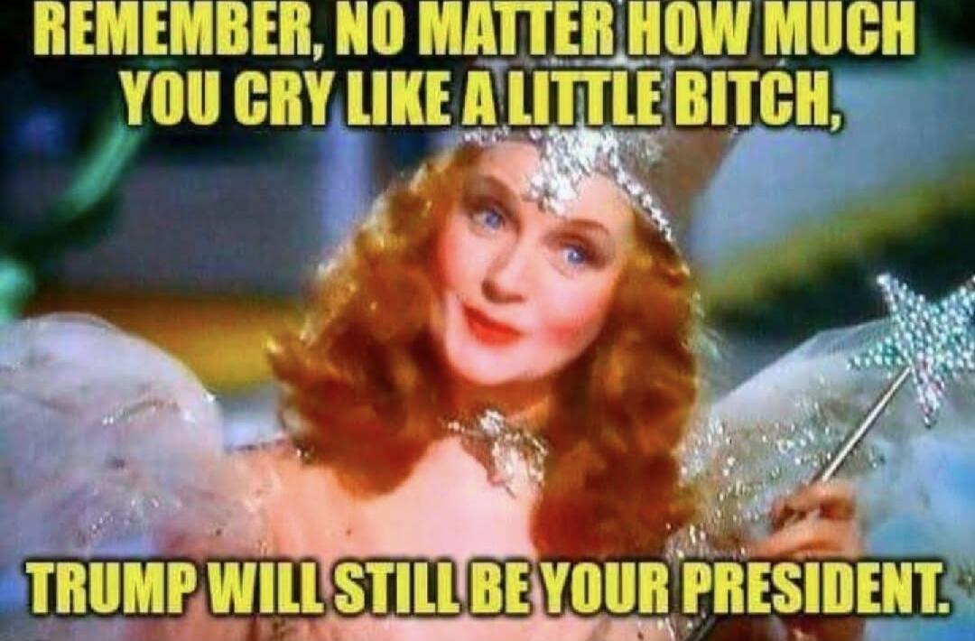 REMEMBER, NO MATTER HOW MUCH YOU CRY LIKE A LITTLE BITCH, TRUMP WILL STILL BE YOUR PRESIDENT.