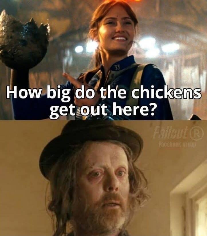 How big do the chickens get out here?