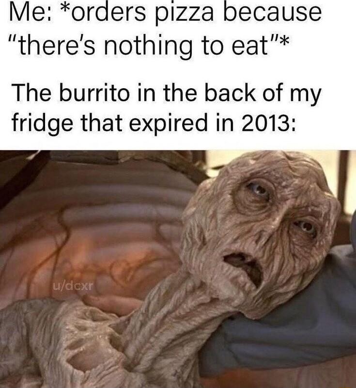 Me oraers pizza theres nothing to eat The burrito in the back of my fridge that expired in 2013