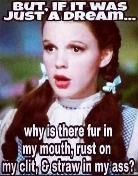BUT, IF IT WAS JUST A DREAM... why is there fur in my mouth, rust on my clit, & straw in my ass?