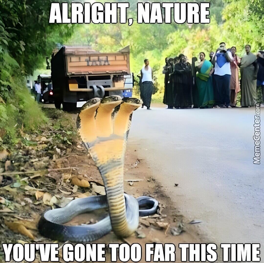 ALRIGHT, NATURE
YOU'VE GONE TOO FAR THIS TIME