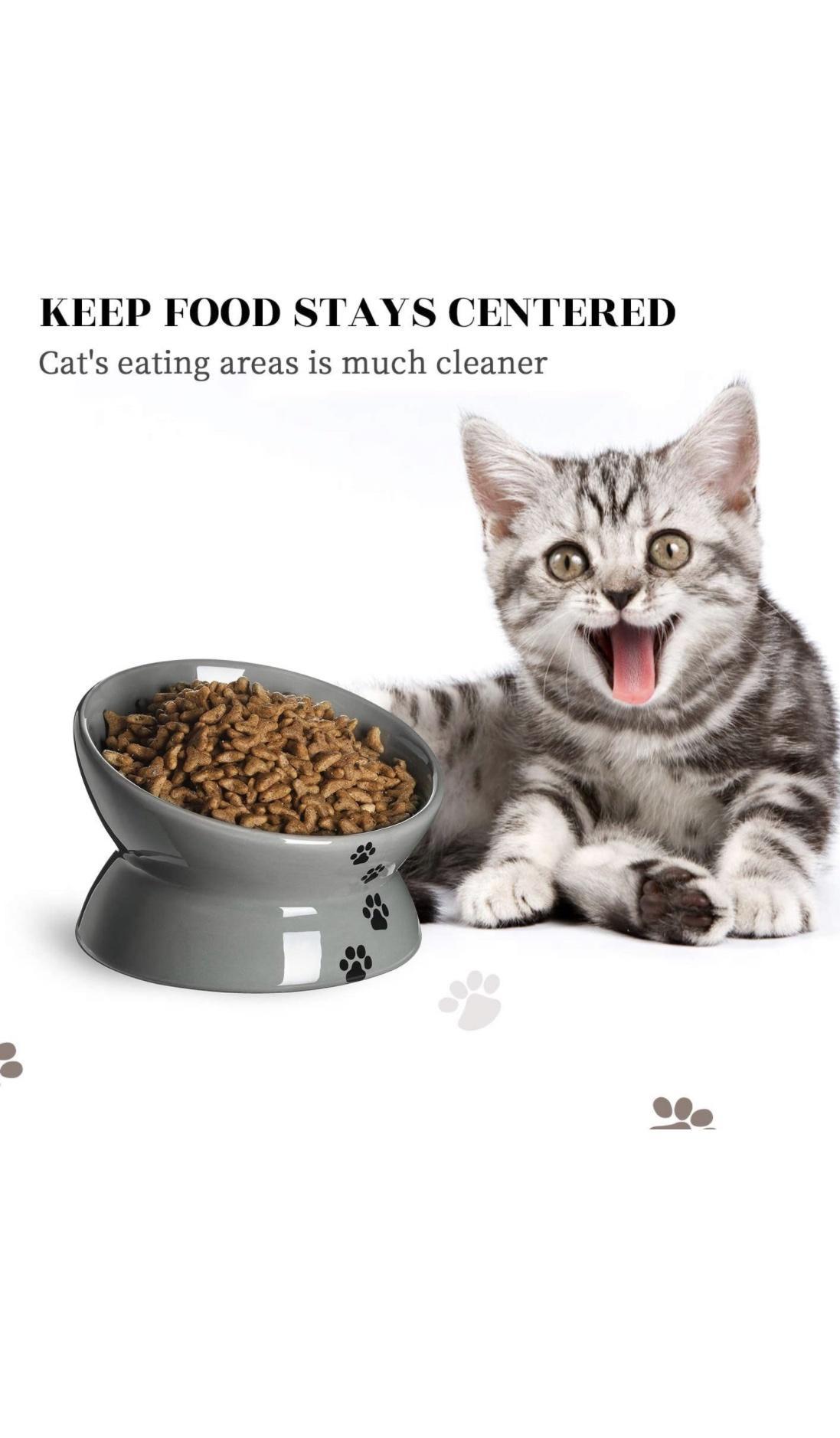 KEEP FOOD STAYS CENTERED Cats eating areas is much cleaner