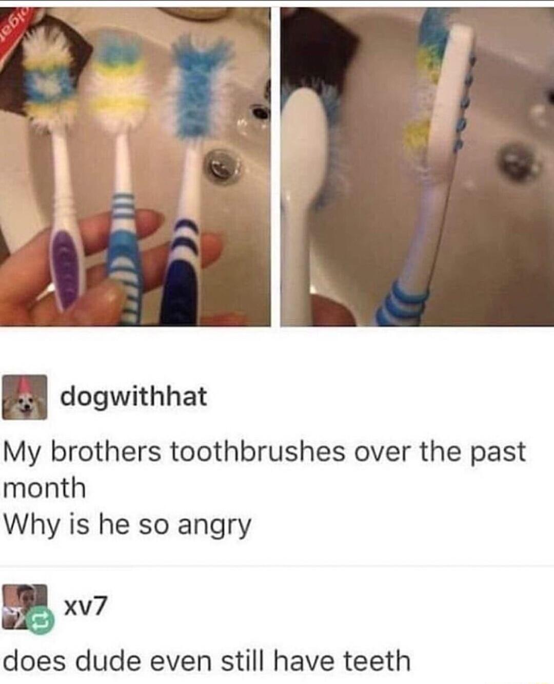 My brothers toothbrushes over the past month Why is he so angry a xv7 does dude even still have teeth