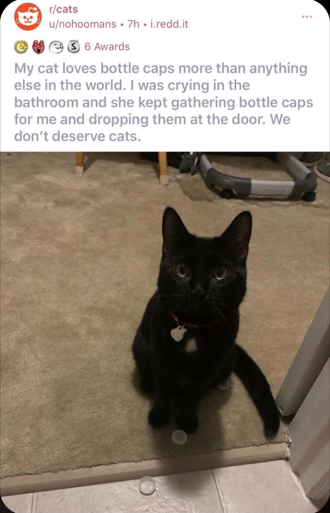 rcats unohoor s bottle cap vorld