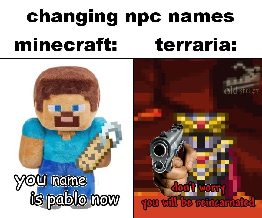 changing npc names minecraft terraria