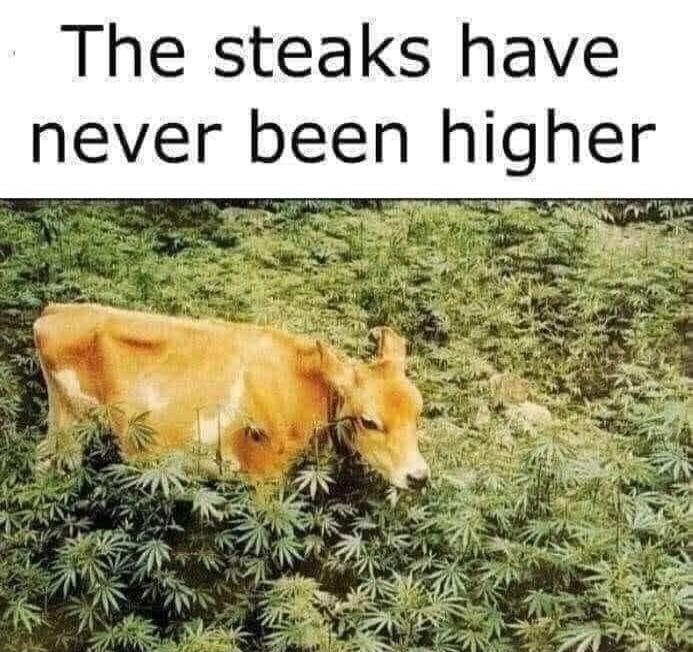 The steaks have never been higher