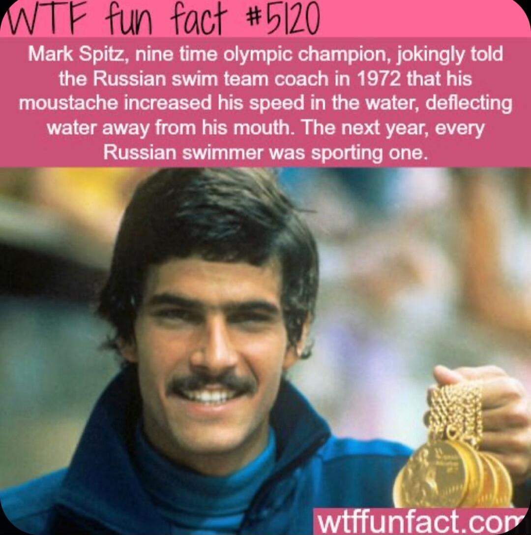 WTF fun fact bi20 R