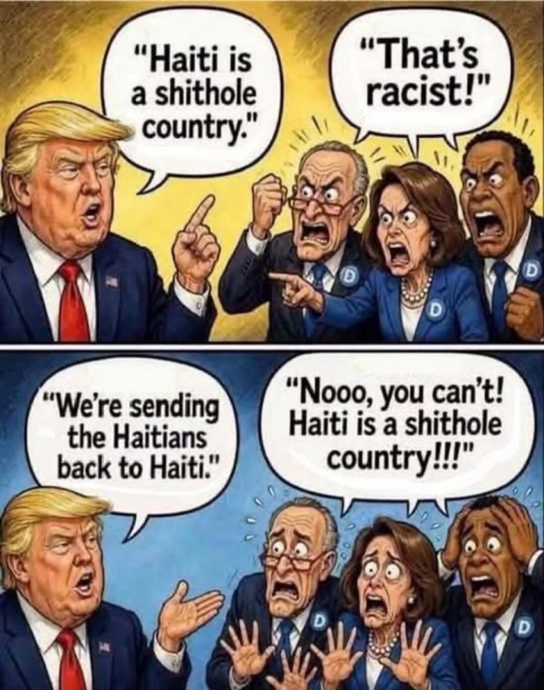 Haiti is a shithole country. That's racist! We're sending the Haitians back to Haiti. Nooo, you can't! Haiti is a shithole country!!!