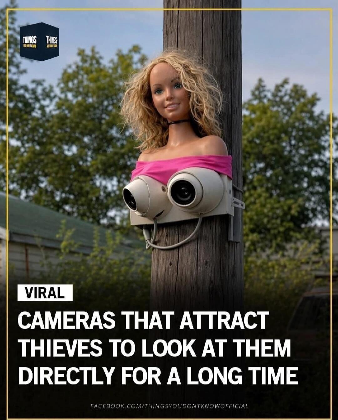 VIRAL CAMERAS THAT ATTRACT THIEVES TO LOOK AT THEM DIRECTLY FOR A LONG TIME. THINGS YOU DON'T KNOW.