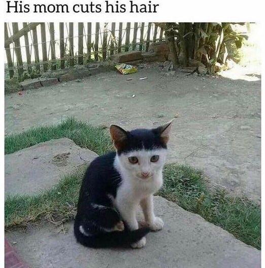 His mom cuts hlS hair