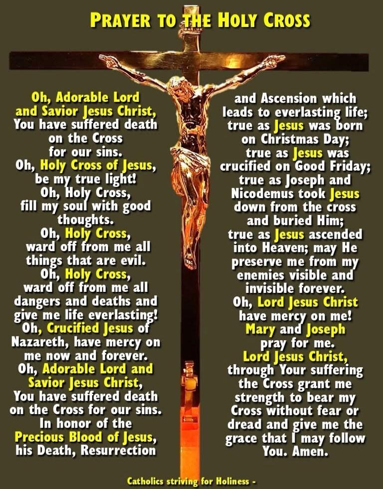 Prayer to the Holy Cross

Oh, Adorable Lord and Savior Jesus Christ, You have suffered death on the Cross for our sins. Oh, Holy Cross of Jesus, be my true light; Oh, Holy Cross, fill my soul with good thoughts. Oh, Holy Cross, ward off from me all things that are evil. Oh, Holy Cross, ward off from me all dangers and deaths and give me life everla