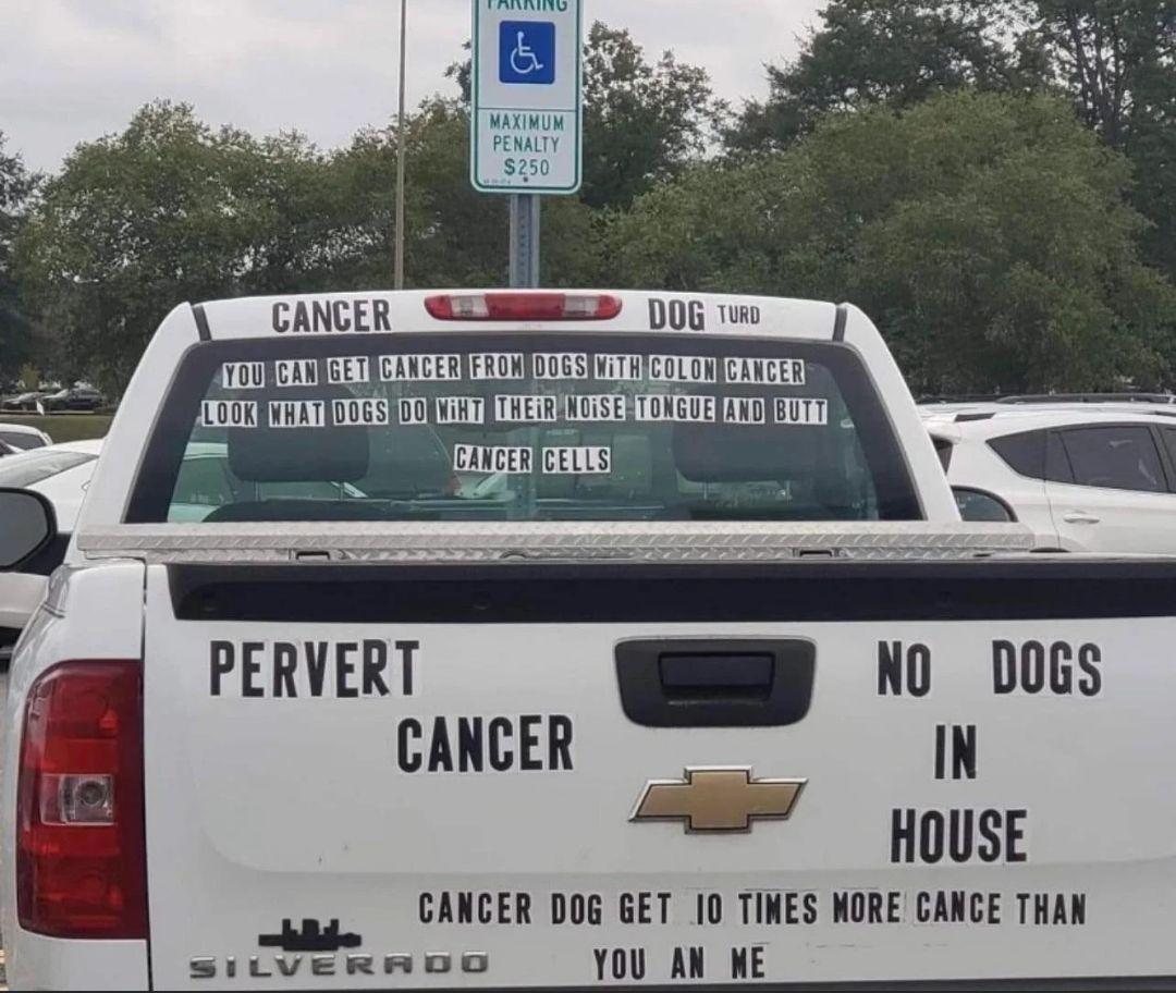 PERVERT Vo Dbocs CANCER N HOUSE CANCER DOG GET 10 TINES NORE CANCE THAN sicvermoo Y00 AN NE