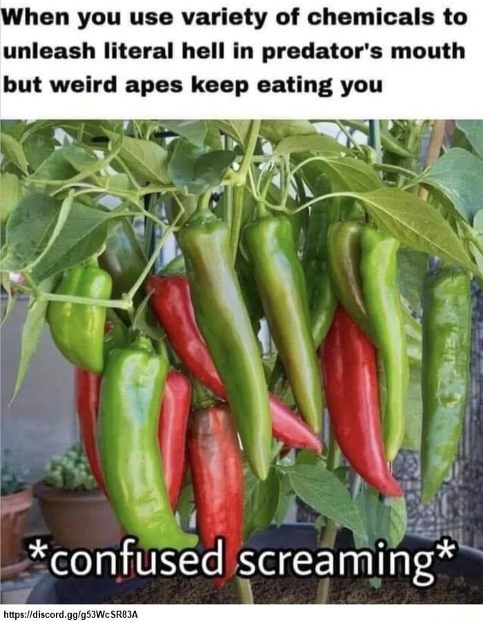 hen you use variety of chemicals to unleash literal hell in predators mouth but weird apes keep eating you