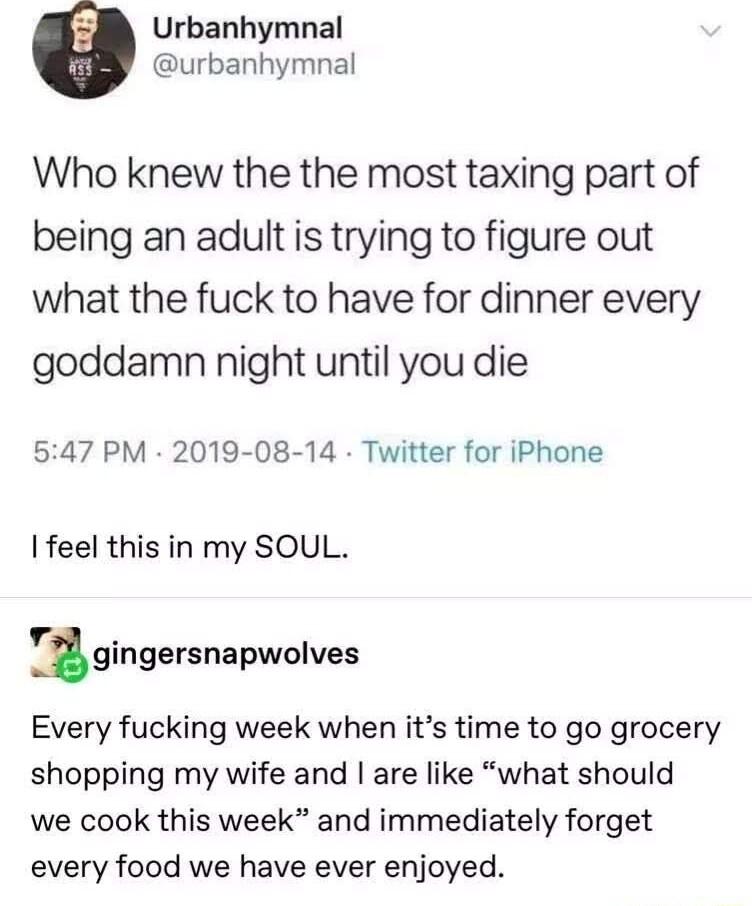 Urbanhymnal urbanhymnal Who knew the the most taxing part of being an adult is trying to figure out what the fuck to have for dinner every goddamn night until you die 547 PM 2019 08 14 Twitter for iPhone feel this in my SOUL gingersnapwolves Every fucking week when its time to go grocery shopping my wife and are like what should we cook this week and immediately forget every food we have ever enjo