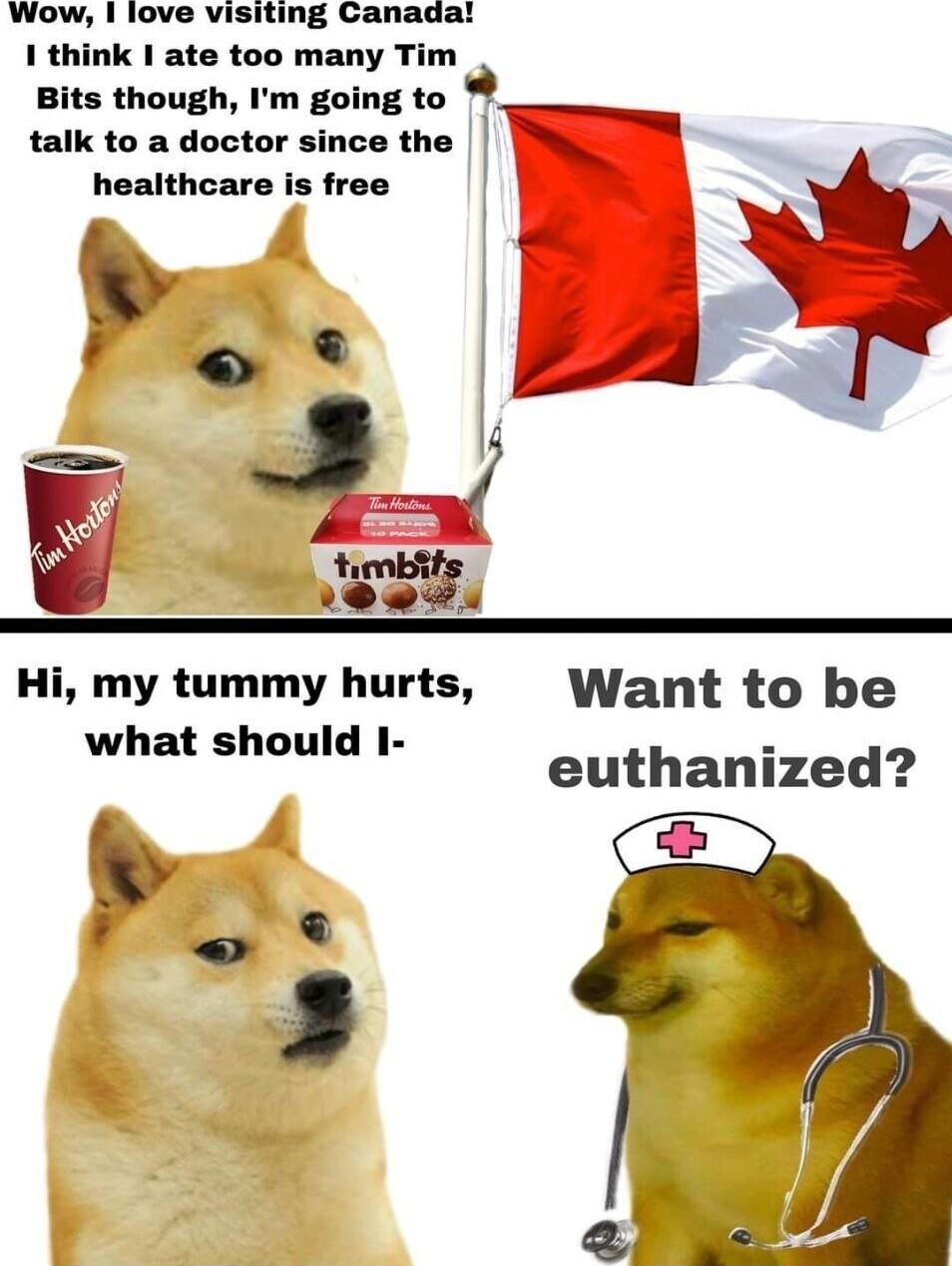 Wow love visiting Canadal 1 think I ate too many Tim Bits though Im going to talk to a doctor since the healthcare is free 5 Fetd AP Hi my tummy hurts Want to be what should I euthanized AT