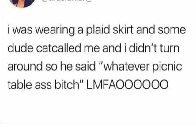 i was wearing a plaid skirt and some dude catcalled me and i didn’t turn around so he said “whatever picnic table ass bitch” LMFAOOOOOO