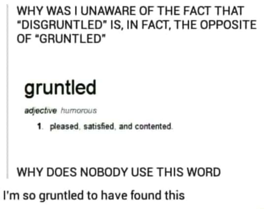 WHY WAS UNAWARE OF THE FACT THAT DISGRUNTLED IS IN FACT THE OPPOSITE OF GRUNTLED gruntled adective humorous 1 pleased satisfied and contented WHY DOES NOBODY USE THIS WORD Im so gruntled to have found this