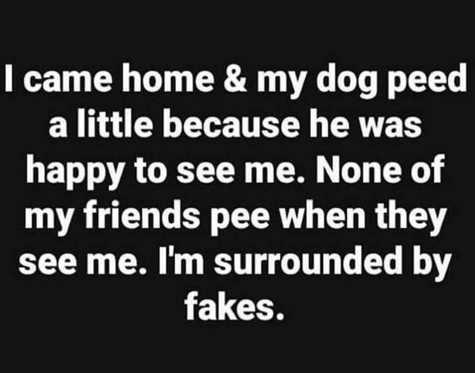 I came home & my dog peed a little because he was happy to see me. None of my friends pee when they see me. I'm surrounded by fakes.