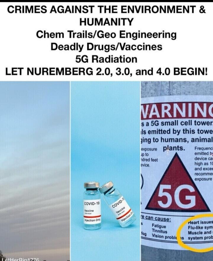 CRIMES AGAINST THE ENVIRONMENT & HUMANITY
Chem Trails/Geo Engineering
Deadly Drugs/Vaccines
5G Radiation
LET NUMERMBERG 2.0, 3.0, and 4.0 BEGIN!