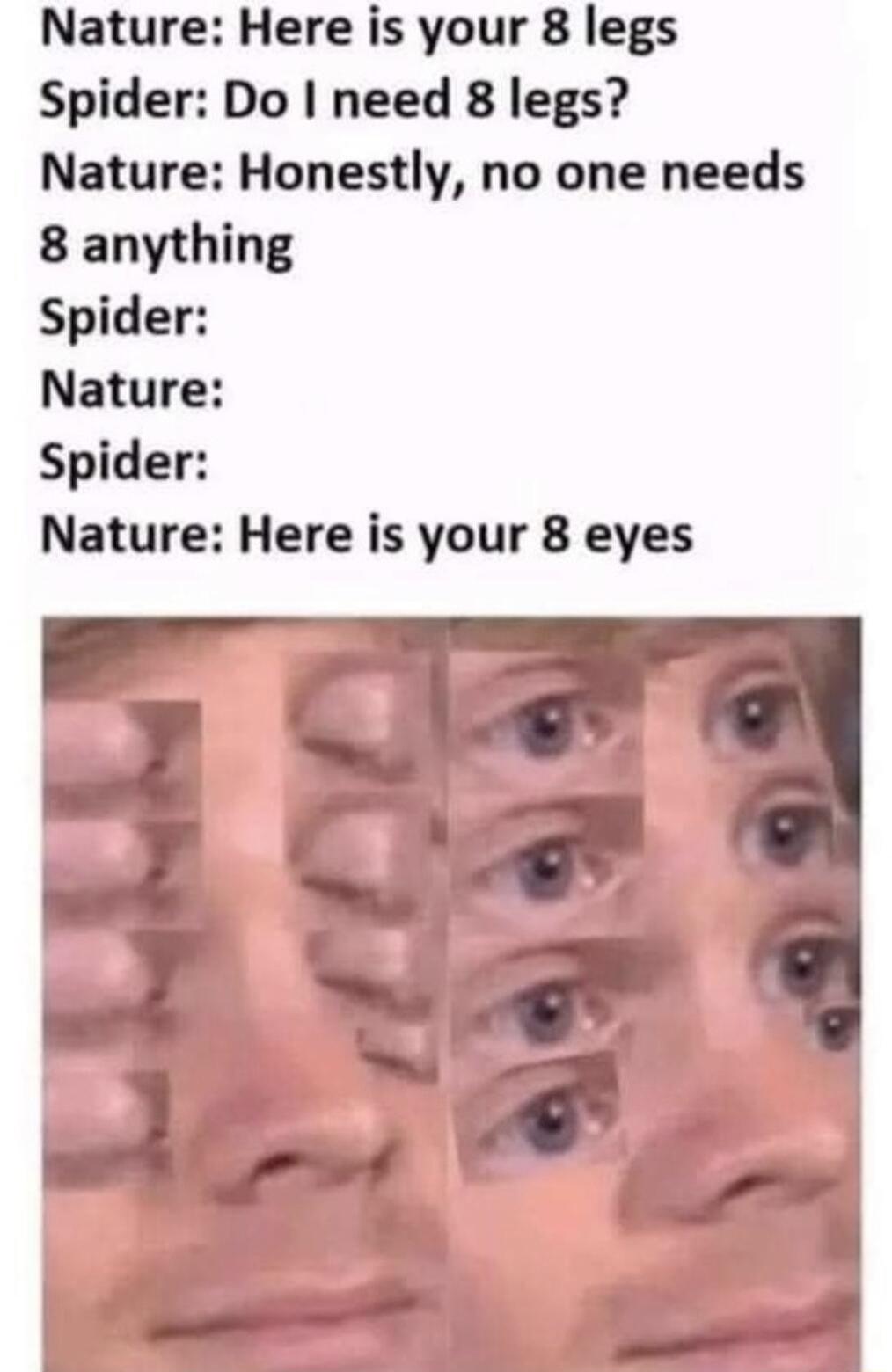 Nature Here is your 8 legs Spider Do need 8 legs Nature Honestly no one needs 8 anything Spider Nature Spider Nature Here is your 8 eyes