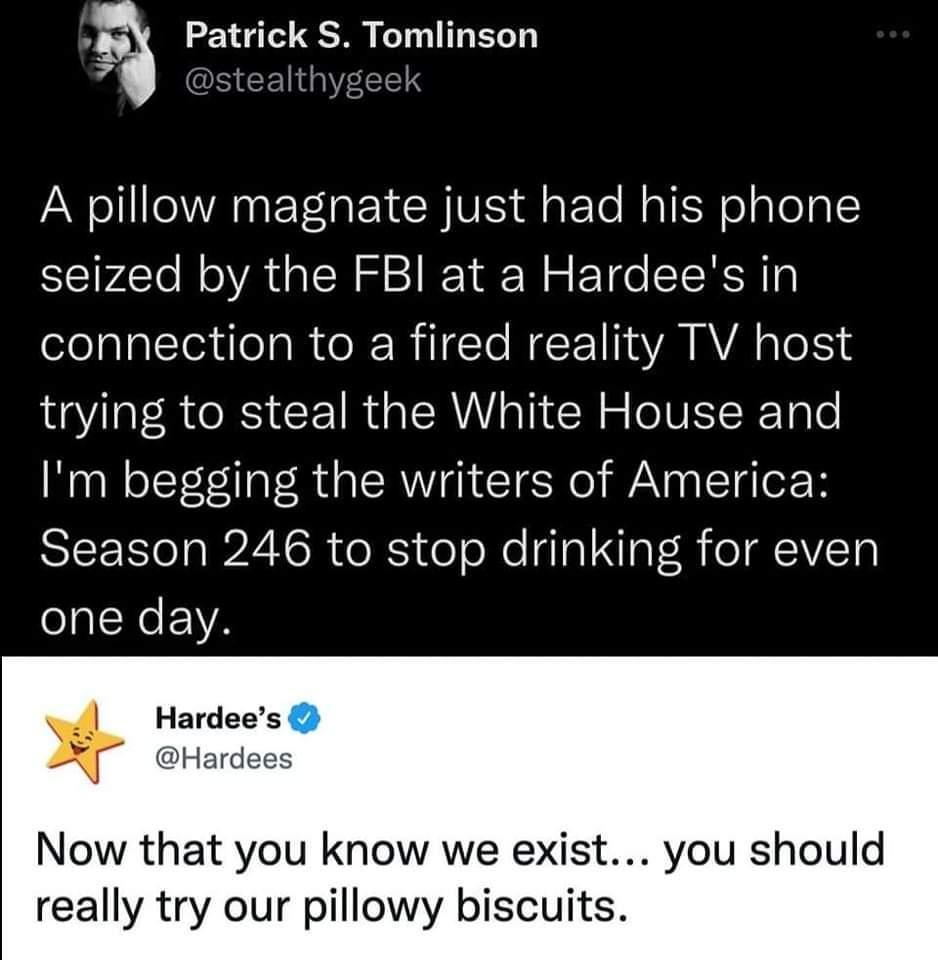 a Patrick S Tomlinson A pillow magnate just had his phone seized by the FBI at a Hardees in connection to a fired reality TV host trying to steal the White House and Im begging the writers of America Season 246 to stop drinking for even one day Hardees Hardees Now that you know we exist you should really try our pillowy biscuits