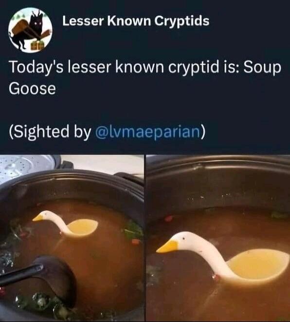 Lesser Known Cryptids g Todays lesser known cryptid is Soup Goose S N GV EEERER _ Py